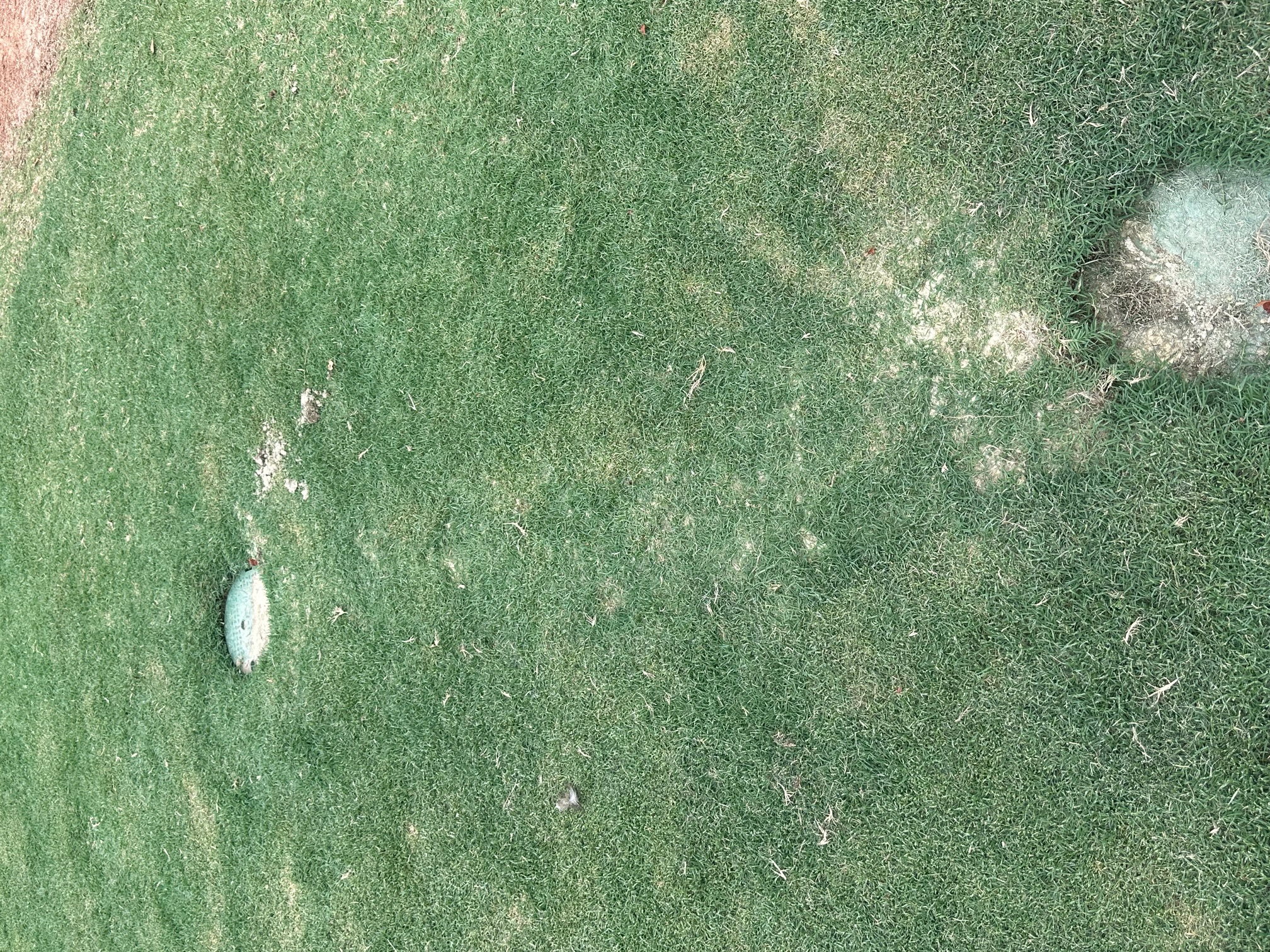 Irrigation lawn trench